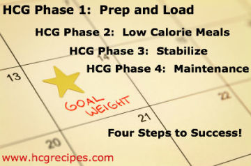 HCG Phase 1-4 Four Steps to Weight Loss Success