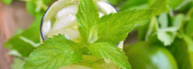 HCG Diet Water Recipe cucumber mint lemon lime in glass